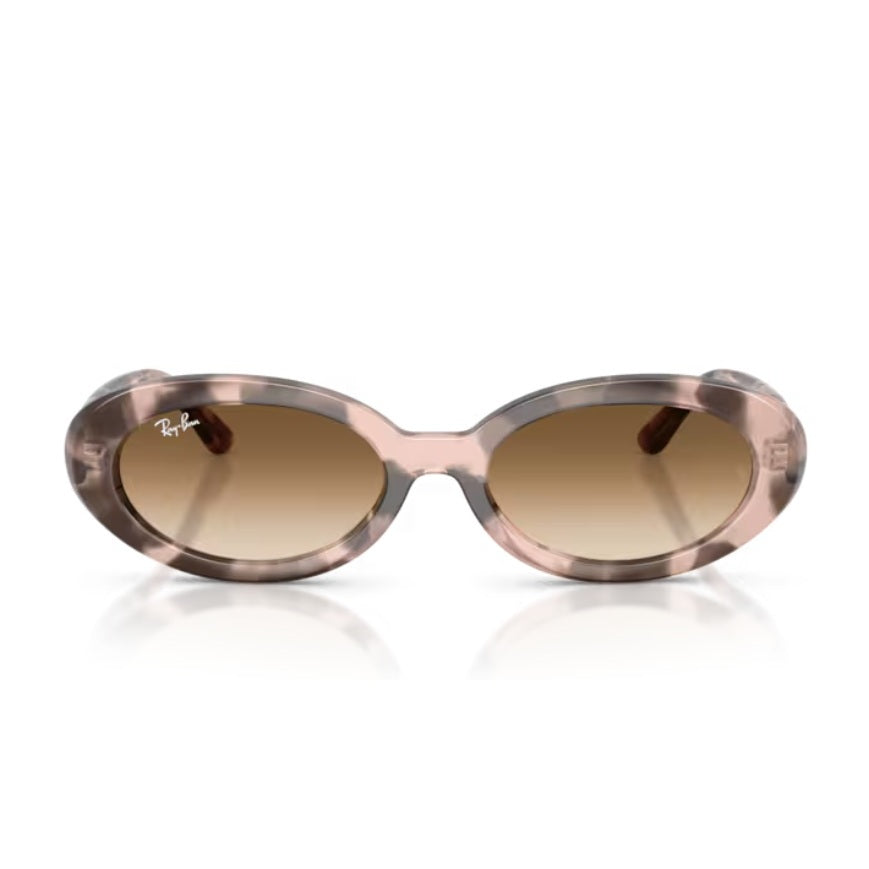 Anteojos de Sol Ray-Ban RB2223